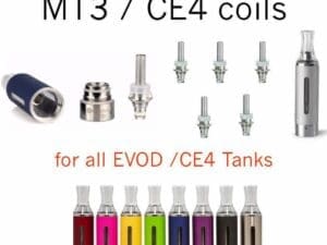 Buy Evod Evod MT3 Coils and Charger